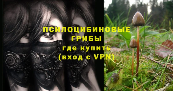ГАЛЛЮЦИНОГЕННЫЕ ГРИБЫ Богородицк