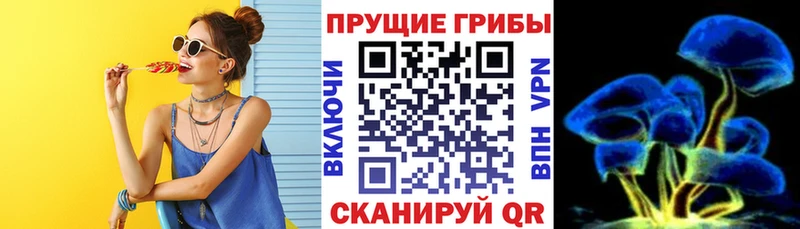 это какой сайт  KRAKEN онион  Набережные Челны  Галлюциногенные грибы Psilocybe 